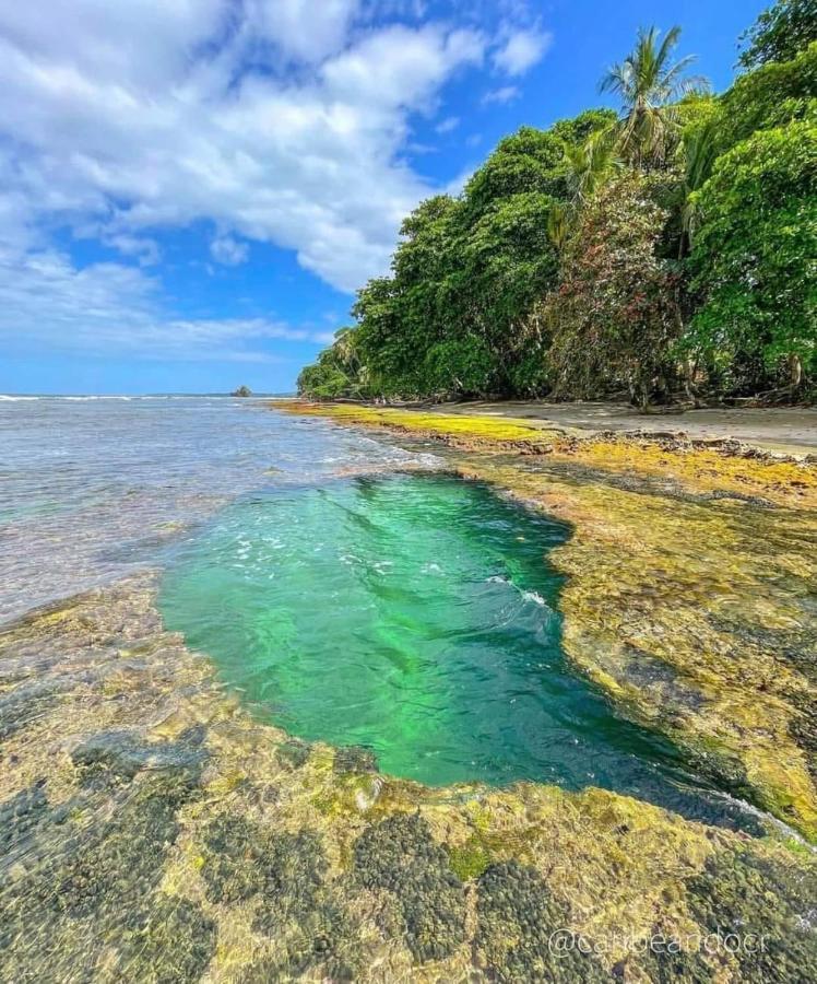 Вилла Casa Mar Puerto Viejo de Talamanca Экстерьер фото